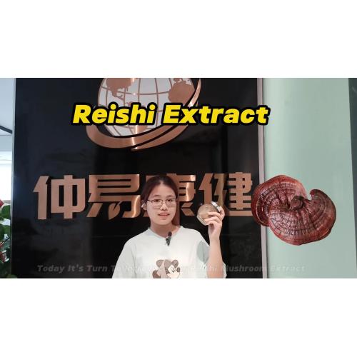 Reishi Powder Bulk