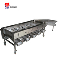 High Efficiency Potato Grading Machine | Citrus Fruit Sorting Machines | Tomato Size Grading Machine1