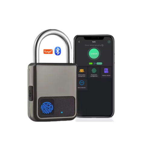 Luogo di impronte digitali intelligenti: sicuro e senza chiave con tipo-C "