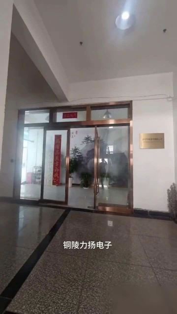 Li Yang's Presentation Video