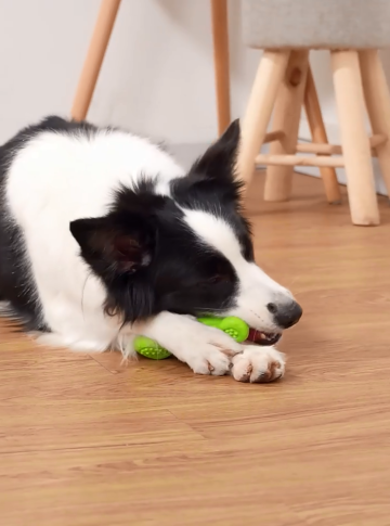 DOG CHEW BONE TOY