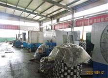 Shandong Anyu Precision Bearing co.,ltd