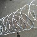Hot Selling Galvanized Welded Wire Mesh Fencing Net with Barbed Wire1