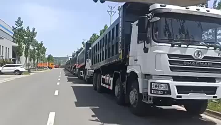 H3000 Dump Truck