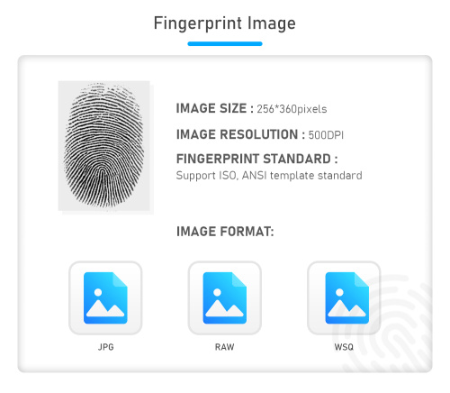 Tips kanggo njaga scanner driji driji