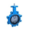 DN50 Ductile Iron Lug Butterfly Valve with EPDM Rubber Seat1