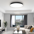 CCT Adjustable Tuya Wifi Alexa Smart Voice Control LED Ceiling Light1