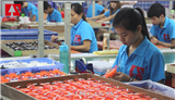 Shantou LianSheng Plastic Toys Industrial Co.,Ltd