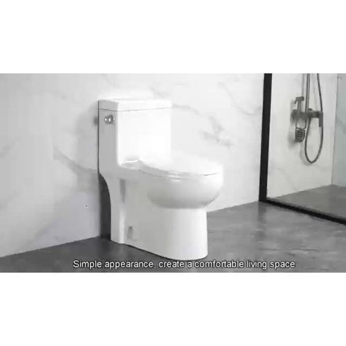 white toilet2