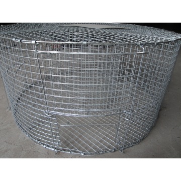 Top 10 China Live Bird Traps Manufacturers
