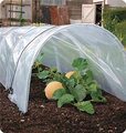 Affordable PE Film Tunnel Greenhouse for Agriculture1
