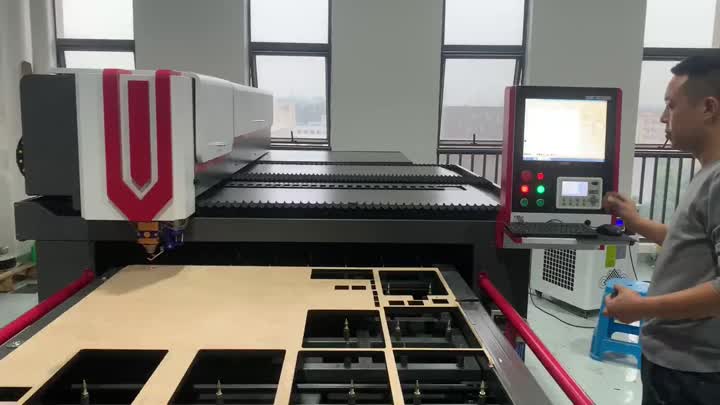 AL - 600 w single head laser cutting machine