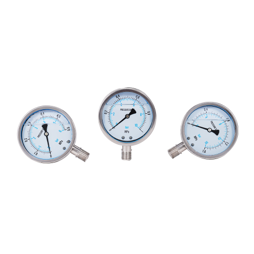 YN100BFpressure Gauge
