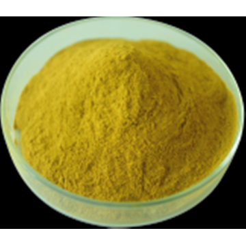 The Feature of Natural Organic Green Coffee Bean Extract Powder