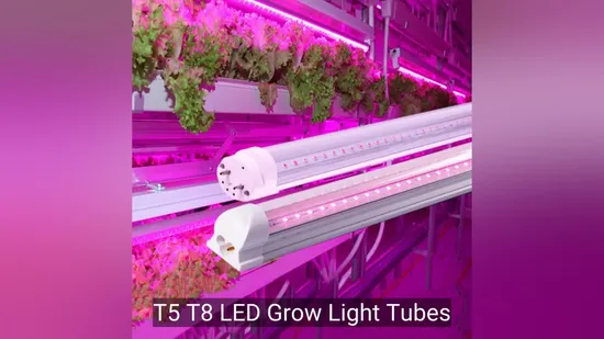 T5 T8 LED Tubos de luz de cultivo - Red &amp; Blue Spectrum Lamp1