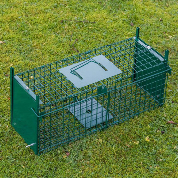 List of Top 10 Medium Cage Trap Brands Popular in European and American Countries