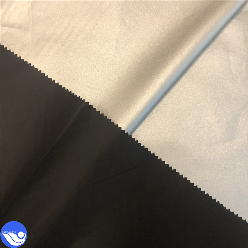 taffeta sliver 04.jpg