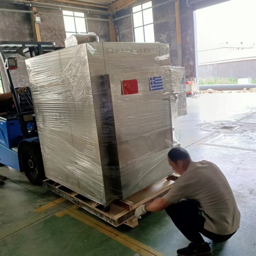 HY-100 Black Garlic Fermenting Machine to Greece