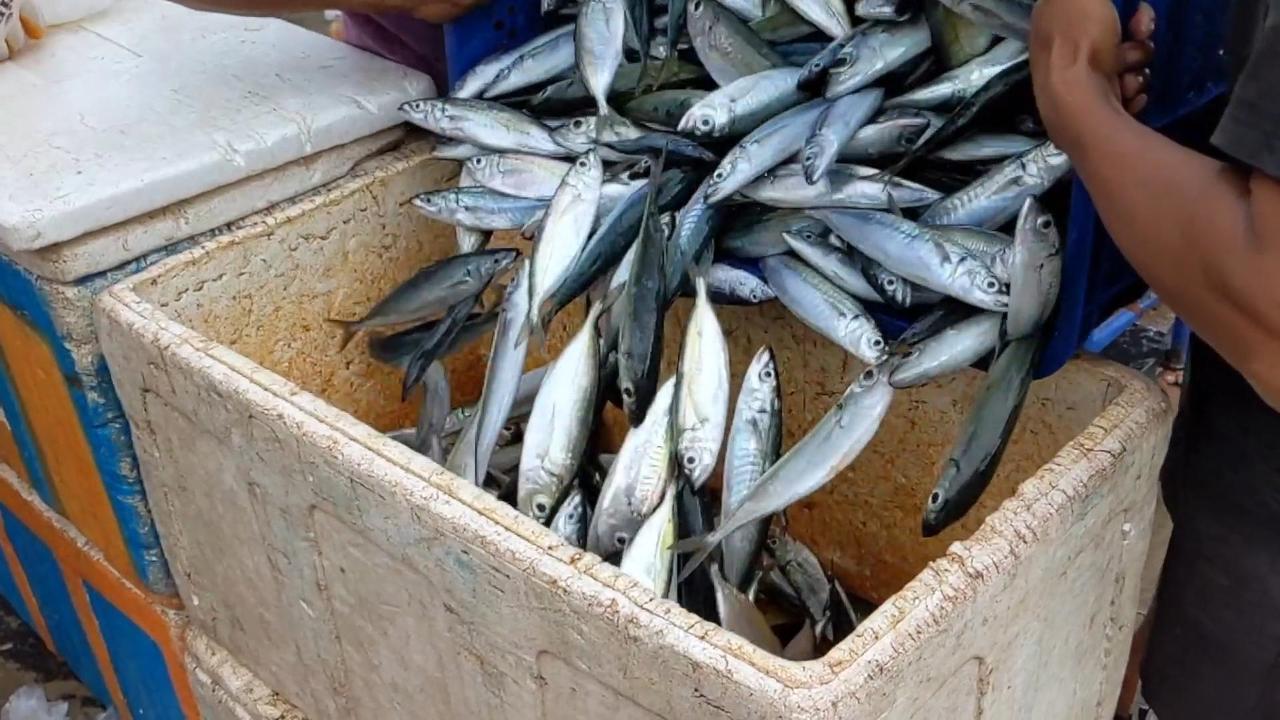 Water Dissolved Oxygen Sensors Improve Aquaculture