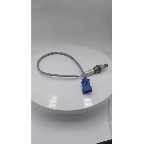 Oxygen Sensor