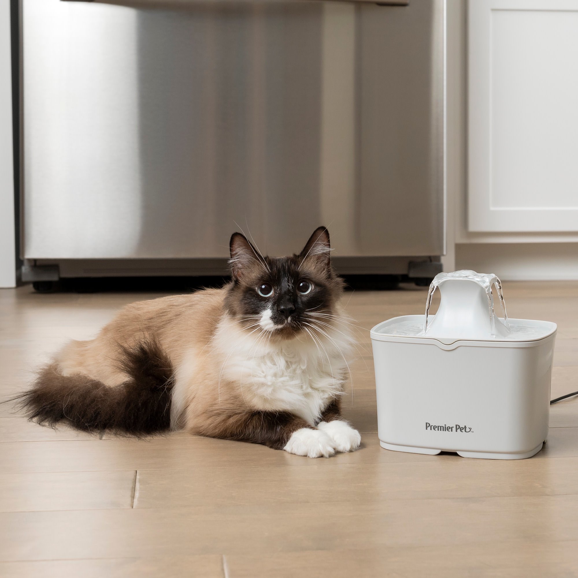 auto water fountain