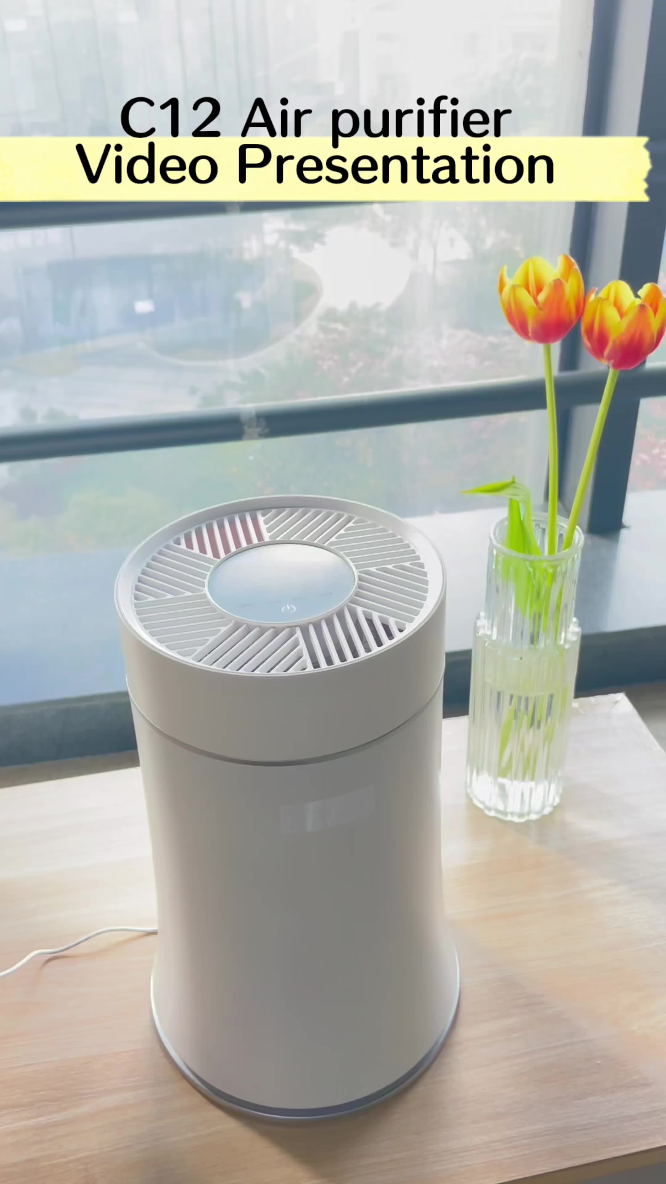 Professionell neuer Großhandel Smart Desktop Home Luftreiniger1