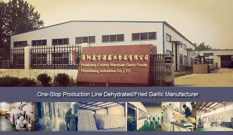 Huaiyang County Wanyuan Garlic Foods Processing Industries Co.,Ltd
