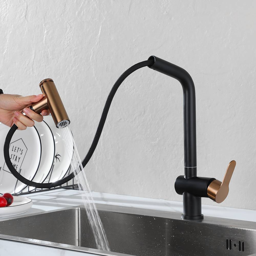 Kitchen faucet