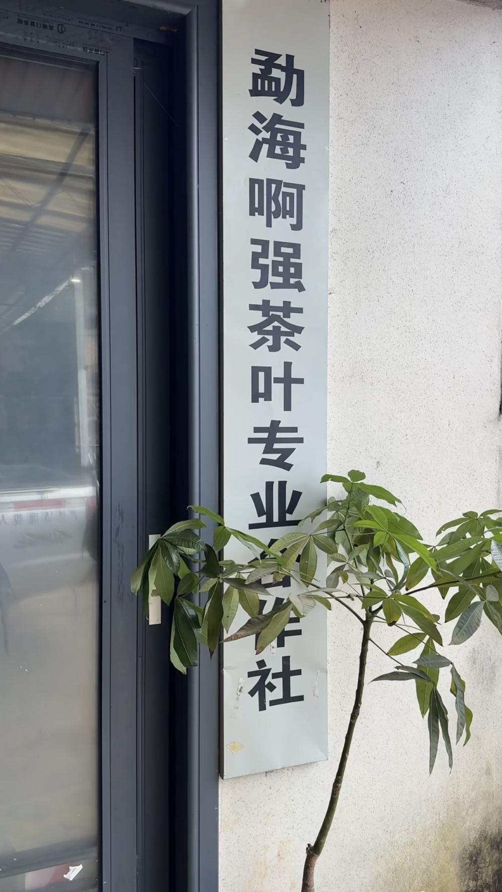 Tea Factory