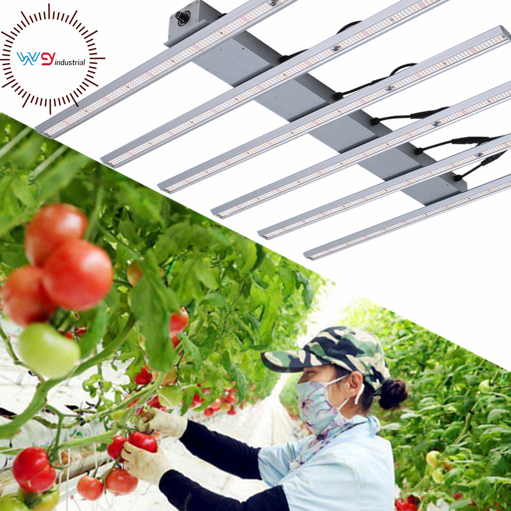 WENYI Super Bright Indoor Garden Greenhouse Plant 1000w 1200w  full spectrum led grow light