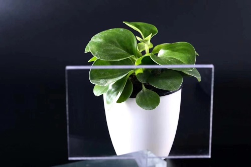 影响抗静态透明PC耐力板破裂的原因和预防措施是什么？