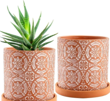 Will Trade introducerar den klassiska 2 Pack Terracotta Plant Pot för att sätta en ny trend i trädgårdsskötsel