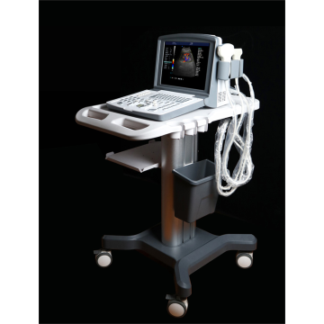 China Top 10 Prostate Color Ultrasound Potential Enterprises