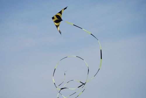 Vorteile von Kohlefaser -Kite -Skelett