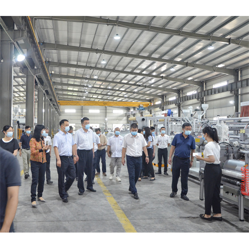 O alcalde Yu Jinfu da cidade de Yangjiang e outros líderes visitaron o parque industrial de Changlong Yangjiang para iinvestigación