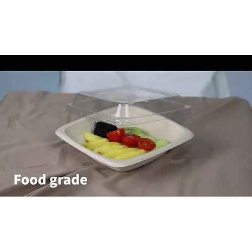 EG Bowl Bagasse Container