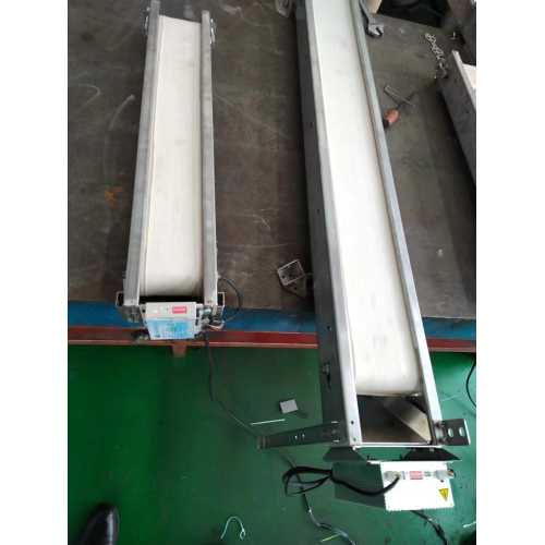 Roller motor conveyor