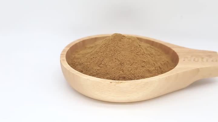 mushroom extract powder