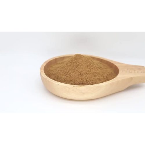 mushroom extract powder