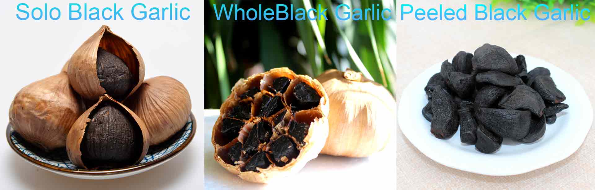 black-garlic-machine-for-black-garlic