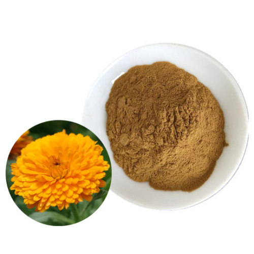 What are the efficacy and application scope of Calendula officinalis extract?
