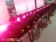 72W Mini Μέγεθος RGBW LED κρεμαστό φως για την εκκλησία