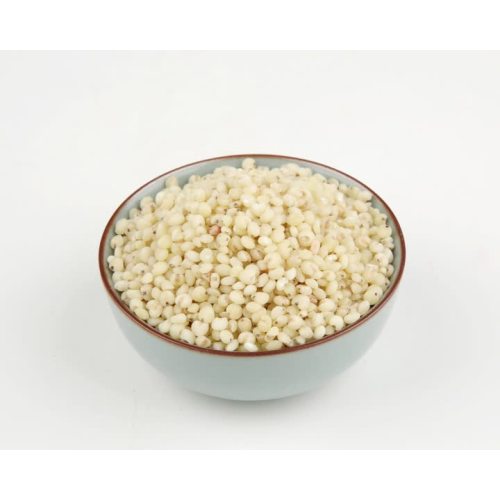 Sorghum rice