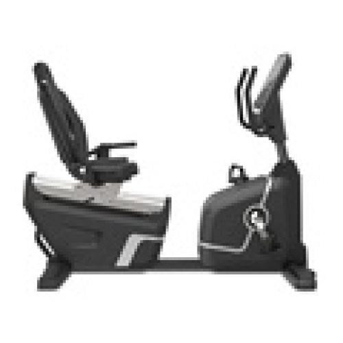 recumbent bike for gym