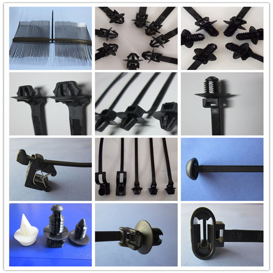 Younger Cable Tie Mould Factory008618989682282