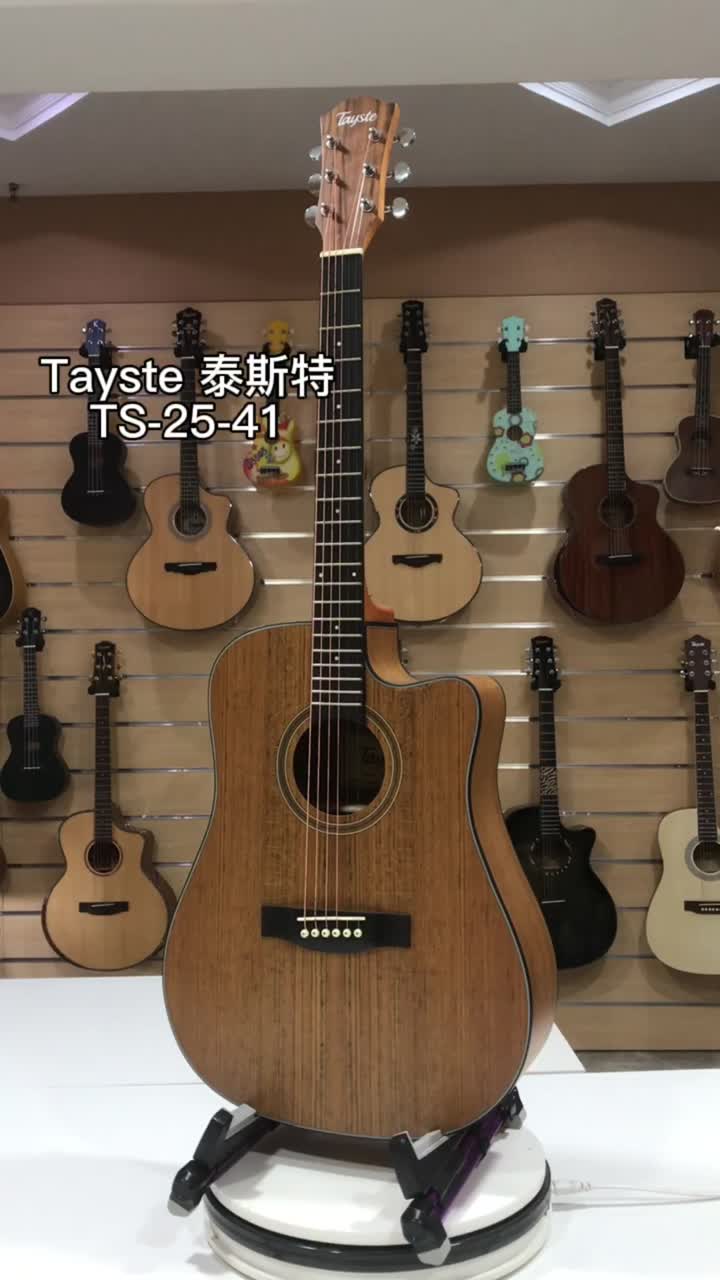 TS-25-41 Acoustic Guitar Description