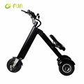 FS-18L 3 wheel electric scooters elderly