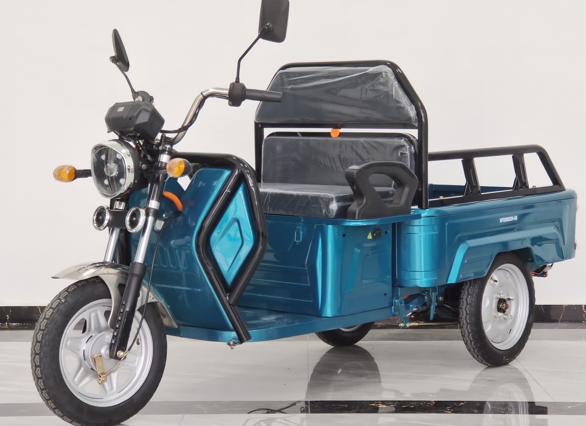 Flat Panel Electric Tricycle