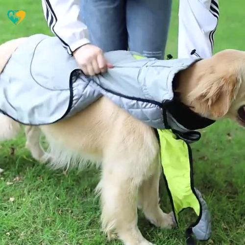 Wear Resistant Large Dog Jacket