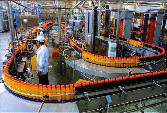 Jiangxi Wanzai Crystal Lily Industrial Co., Ltd